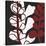 Maidenhair on Black Ground-Denise Duplock-Stretched Canvas