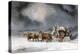 Mail Coach in a Snowstorm-Charles Cooper Henderson-Premier Image Canvas