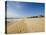 Main Beach, East Hampton, the Hamptons, Long Island, New York State, USA-Robert Harding-Premier Image Canvas