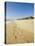 Main Beach, East Hampton, the Hamptons, Long Island, New York State, USA-Robert Harding-Premier Image Canvas