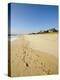 Main Beach, East Hampton, the Hamptons, Long Island, New York State, USA-Robert Harding-Premier Image Canvas