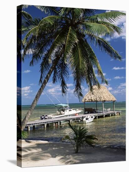 Main Dive Site in Belize, Ambergris Caye, Belize, Central America-Gavin Hellier-Premier Image Canvas