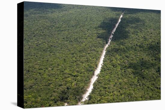 Main Highway of Guyana Cutting Through the Rainforest, Guyana, South America-Mick Baines & Maren Reichelt-Premier Image Canvas