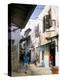 Main Street, Lamu Town, Island of Lamu, Kenya, East Africa, Africa-Julia Bayne-Premier Image Canvas