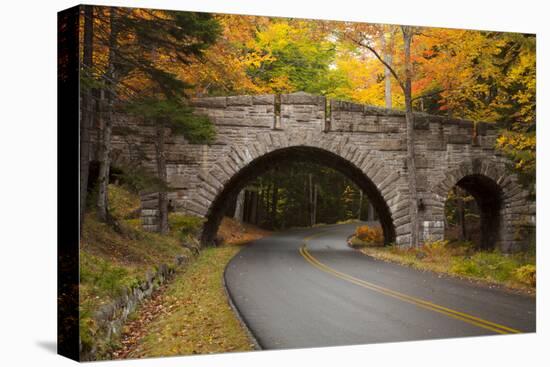 Maine, Acadia National Park, Carriage Road in Acadia National Park-Joanne Wells-Premier Image Canvas
