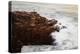 Maine, Acadia NP, Ocean Waves Breaking on Rocks Along Ocean Drive-Joanne Wells-Premier Image Canvas