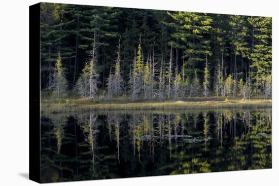 Maine, Baxter State Park, Reflections on Abol Pond-Judith Zimmerman-Premier Image Canvas