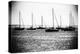 Maine Boats-John Gusky-Premier Image Canvas