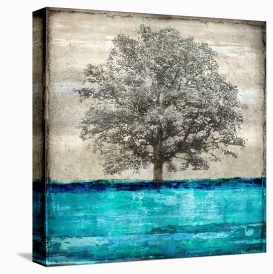 Majestic - Aqua-Eric Turner-Stretched Canvas