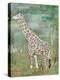 Majestic Giraffe-Jenny McGee-Stretched Canvas