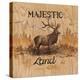 Majestic Land-Arnie Fisk-Stretched Canvas