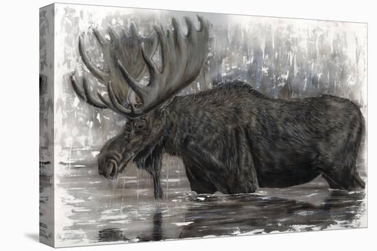 Majestic Moose-Angela Bawden-Stretched Canvas