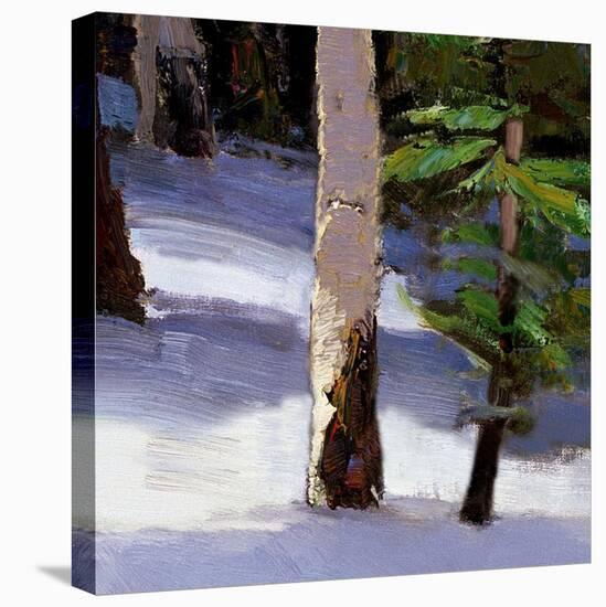 Majestic Winter (detail no. 5)-Kent Wallis-Stretched Canvas