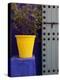 Majorelle Gardens, Marrakesh, Morocco, North Africa, Africa-Frank Fell-Premier Image Canvas