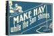 Make Hay While the Son Shines-null-Stretched Canvas