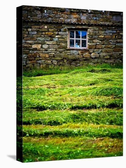 Make Hay While the Sun Shines-Doug Chinnery-Premier Image Canvas