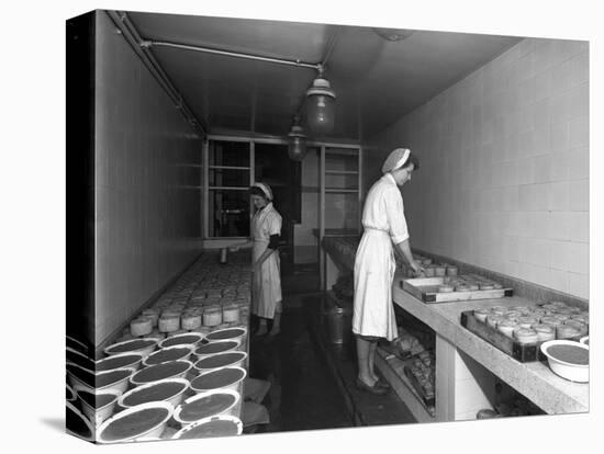 Making Pork Pies, Schonhuts Butchery Factory, Rawmarsh, South Yorkshire, 1955-Michael Walters-Premier Image Canvas