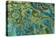 Malachite and Chrysocolla Copper Minerals From-null-Premier Image Canvas