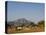 Malawi, Dedza, Grass-Roofed Houses in a Rural Village in the Dedza Region-John Warburton-lee-Premier Image Canvas