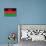 Malawi Flag Design with Wood Patterning - Flags of the World Series-Philippe Hugonnard-Stretched Canvas displayed on a wall