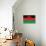 Malawi Flag Design with Wood Patterning - Flags of the World Series-Philippe Hugonnard-Stretched Canvas displayed on a wall