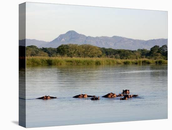 Malawi, Upper Shire Valley, Liwonde National Park-Mark Hannaford-Premier Image Canvas