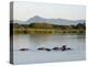 Malawi, Upper Shire Valley, Liwonde National Park-Mark Hannaford-Premier Image Canvas