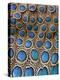 Malay Peacock-Pheasant Feathers with Blue Circles-Darrell Gulin-Premier Image Canvas