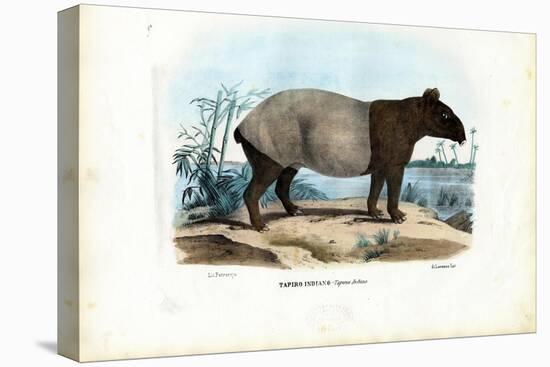 Malayan Tapir, 1863-79-Raimundo Petraroja-Premier Image Canvas