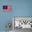 Malaysia Flag Design with Wood Patterning - Flags of the World Series-Philippe Hugonnard-Stretched Canvas displayed on a wall