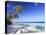 Maldives, Faafu Atoll, Filitheyo Island-Michele Falzone-Premier Image Canvas