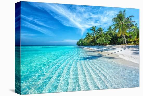 Maldives Islands Ocean Tropical Beach-Altug Galip-Premier Image Canvas