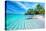 Maldives Islands Ocean Tropical Beach-Altug Galip-Premier Image Canvas