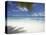 Maldives Tropical Beach, Maldives, Indian Ocean, Asia-Sakis Papadopoulos-Premier Image Canvas