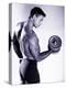 Male Bodybuilder Curling a Dumbbell-null-Premier Image Canvas