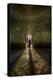 Male Figure in Abandoned Building-Nathan Wright-Premier Image Canvas