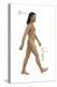 Male Human Being (Homo Sapiens), Ape, Mammals-Encyclopaedia Britannica-Stretched Canvas