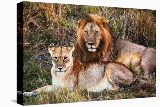 Male Lion and Female Lion - a Couple, on Savanna. Safari in Serengeti, Tanzania, Africa-Michal Bednarek-Premier Image Canvas