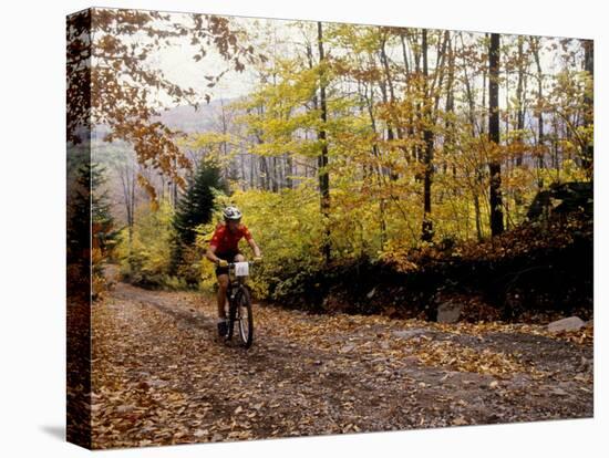 Male Mountain Biker Competing in a Race 1993 NY State Championships-null-Premier Image Canvas