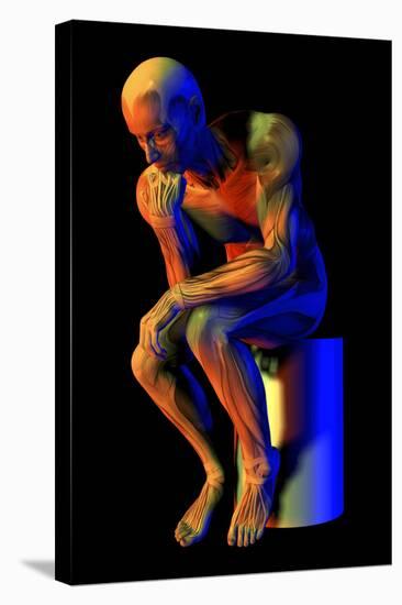 Male Musculature-Friedrich Saurer-Premier Image Canvas