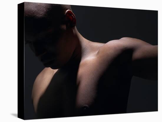 Male Nude in Shadows-null-Premier Image Canvas