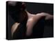 Male Nude in Shadows-null-Premier Image Canvas