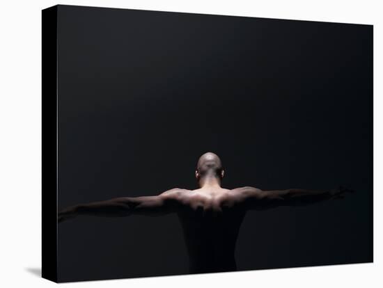 Male Nude in Shadows-null-Premier Image Canvas