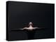 Male Nude in Shadows-null-Premier Image Canvas