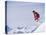 Male Skier Jumping-null-Premier Image Canvas