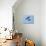 Male Skylark (Alauda Arvensis) in Flight, Singing, Denmark Farm, Lampeter, Ceredigion, Wales, UK-Richard Steel-Premier Image Canvas displayed on a wall