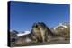 Male Southern Elephant Seal Pups (Mirounga Leonina) Mock-Fighting, Gold Harbor, South Georgia-Michael Nolan-Premier Image Canvas