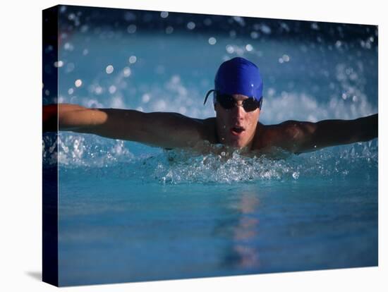 Male Swimmer Competing in Abutterfly Race-null-Premier Image Canvas