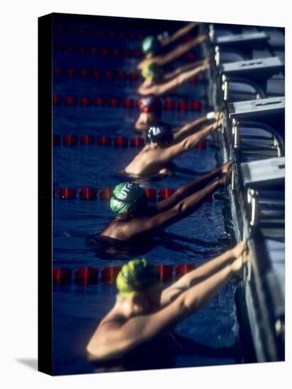 Male Swimmers at the Start of a Race-null-Premier Image Canvas