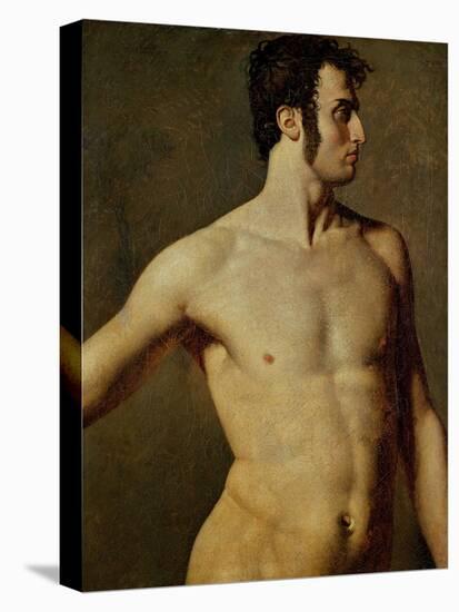 Male Torso-Jean-Auguste-Dominique Ingres-Premier Image Canvas